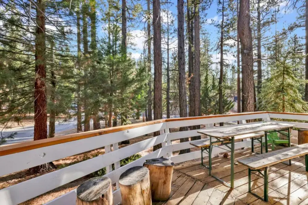 Mid-Century Modern Chalet #1927 by Big Bear Vacations