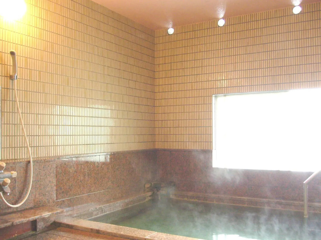 Hotel Senke