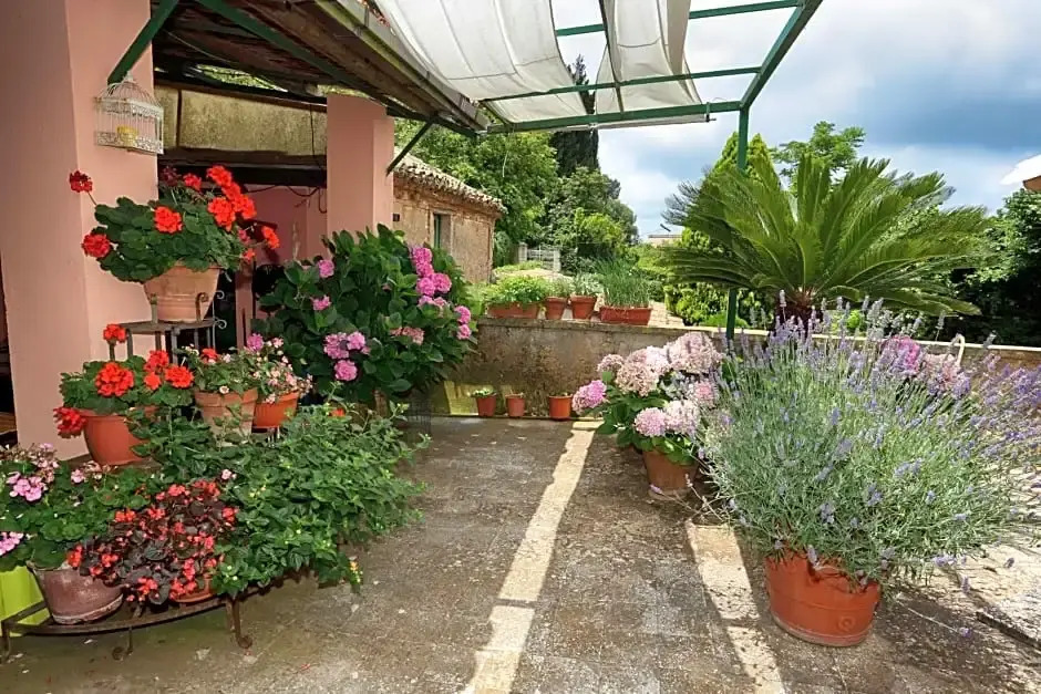 Bed and Breakfast di Francia