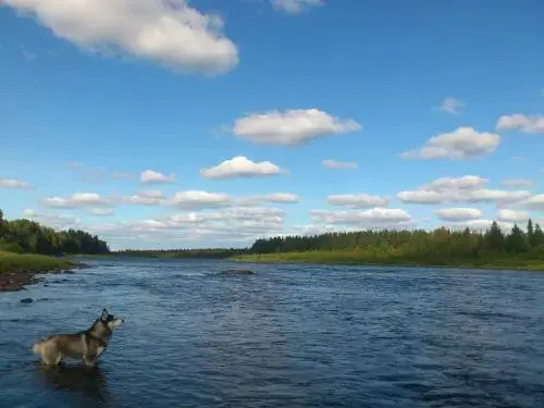 Lapland Guesthouse