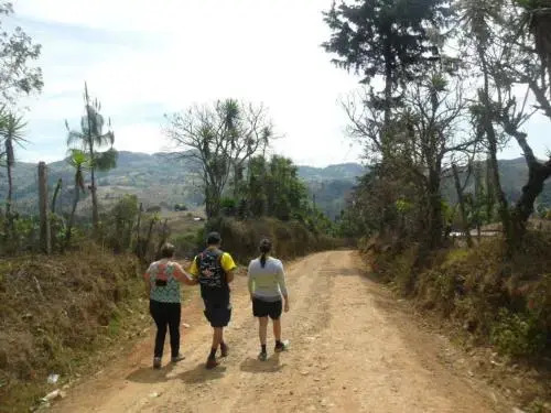 El Pinabete Finca & Cabañas