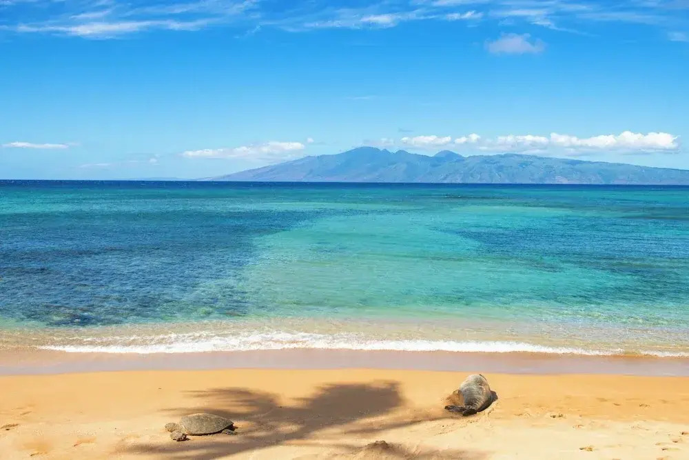 Hale Mahina B304