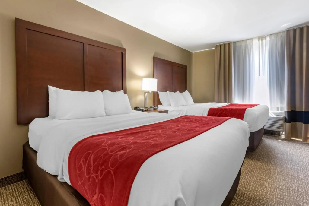 Comfort Suites Bridgeport - Clarksburg