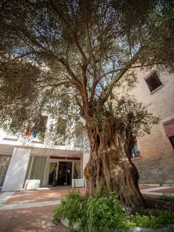 EGO Residence Ferrara & City Center Apartment