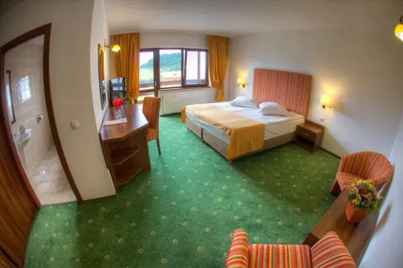 Casa Aron/ Casa de Lemn/Hotel Gradistea- Cheile Gradistei