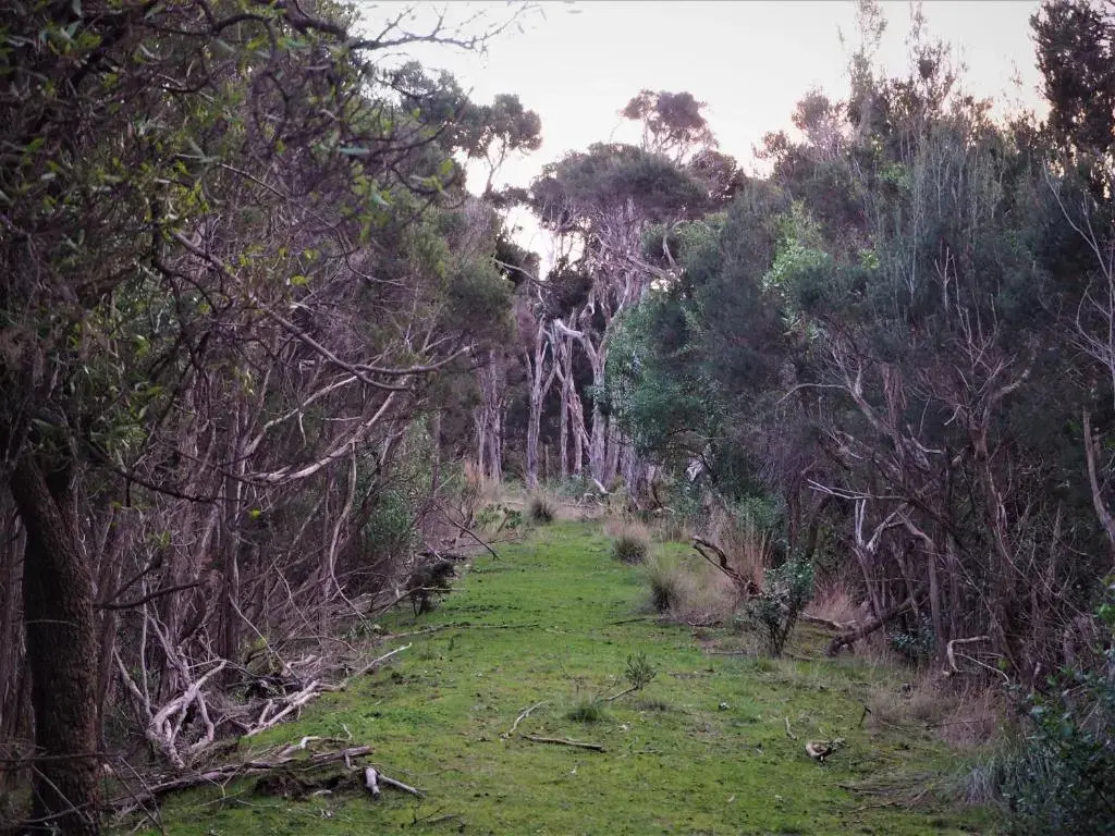 Banksia Park Estate