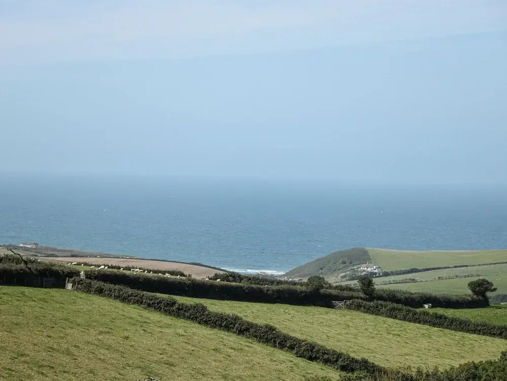 Halls Farm