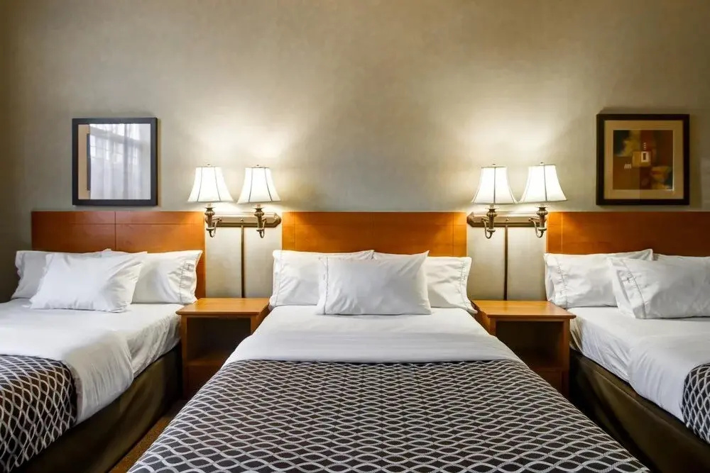 Canalta Hotel Provost