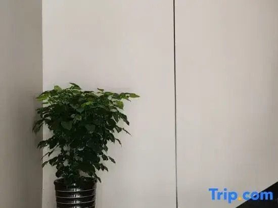 Yixin Hotel (Expo Yuanqiantan Branch)