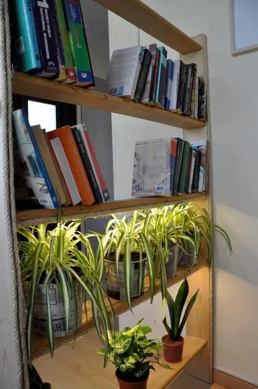 Funky Nest - A cozy apartment in Zipari