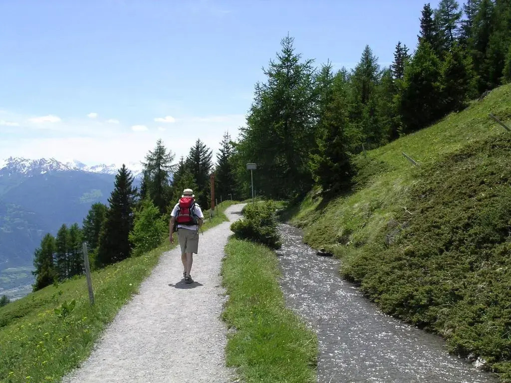 Chalet des Alpes