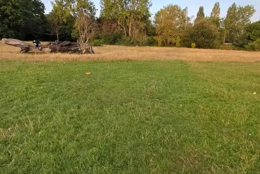 Apartment Sleeps 3 - Garden, Pets Welcome