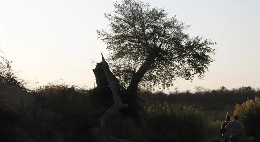 Ingwe Historical Accommodation