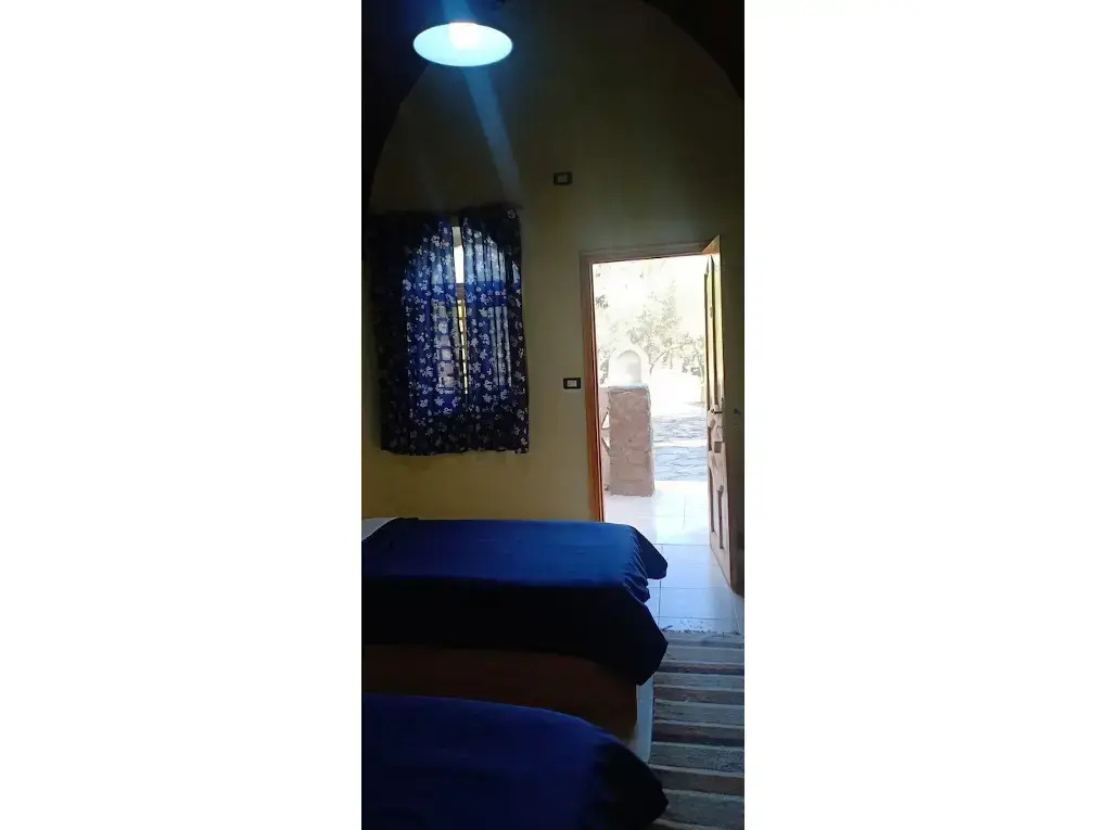 Ahmed Safari Camp