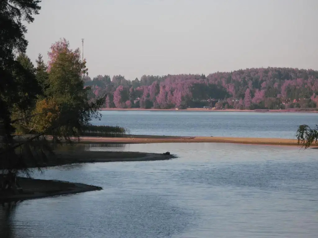 Rēzijas