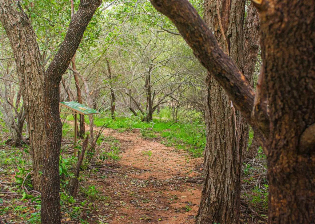 Burchells Bush Lodge by Dream Resorts