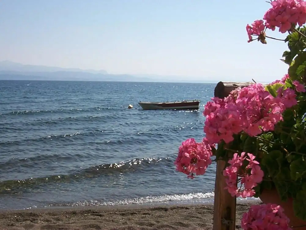 Artemis Hotel