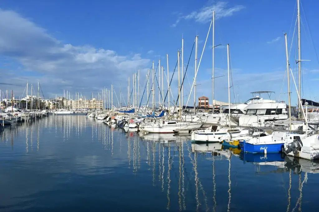 Rivage hyper centre et plage a pied