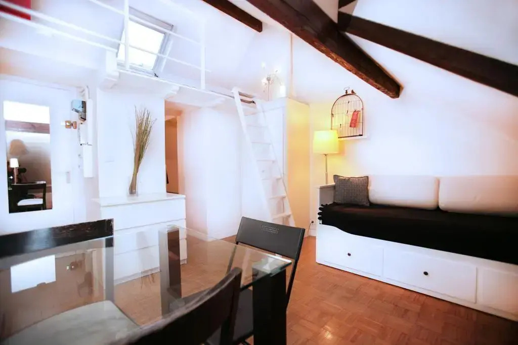Lovely Marais Sudio with Mezzanine (94)