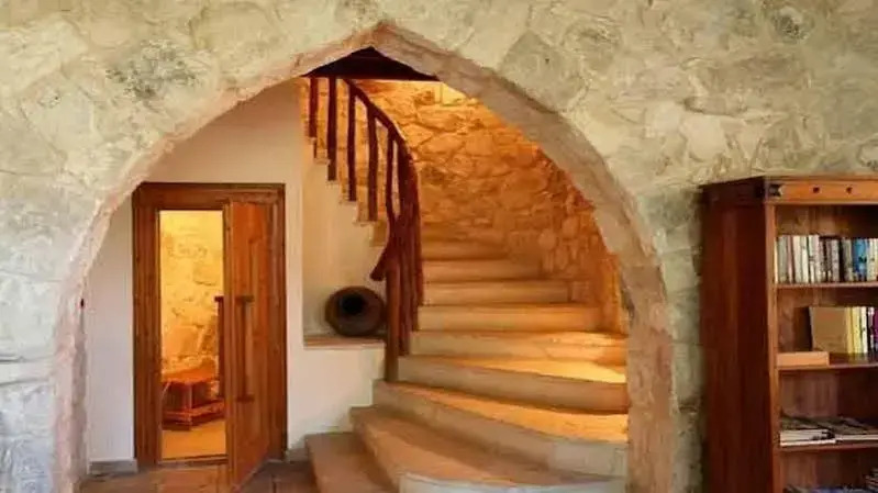 Villa Vineyard