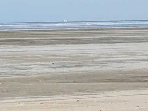 Gemütliches Apartment direkt am Strand