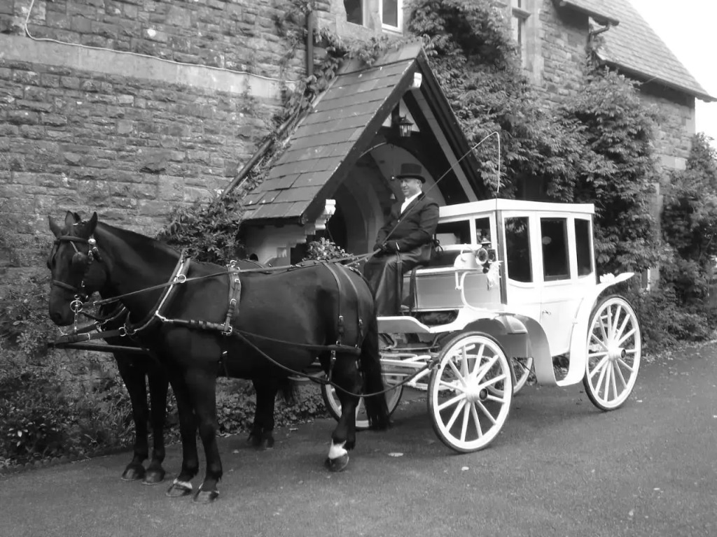 St Davids Guesthouse