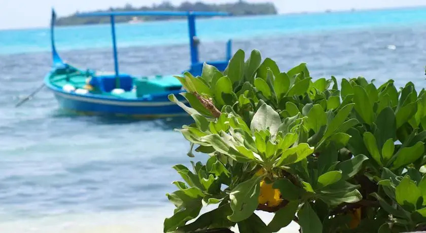 Dacha Maldives Guest House