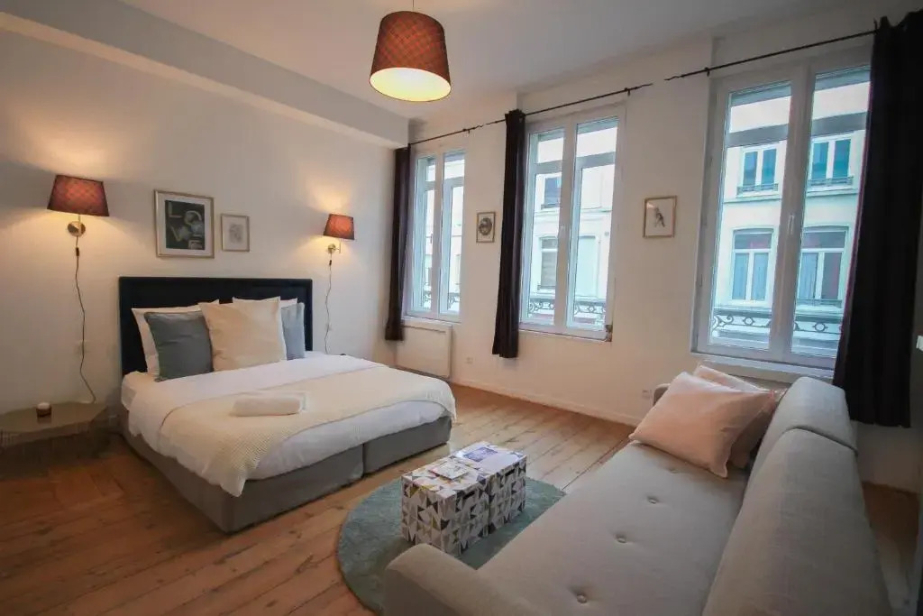 Lille Centre - Nice cozy and functional studio
