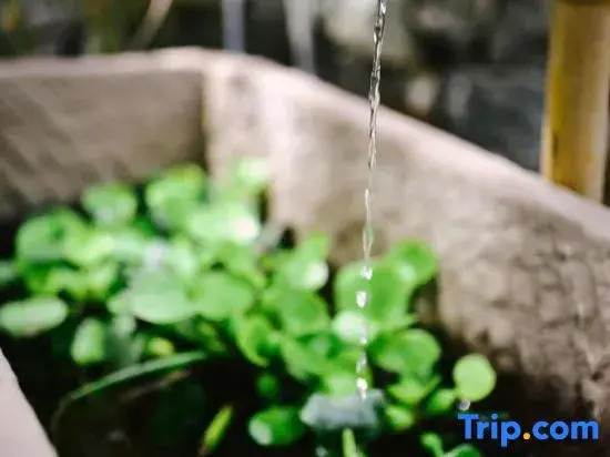 Tianjin Shujian Jiuli Homestay
