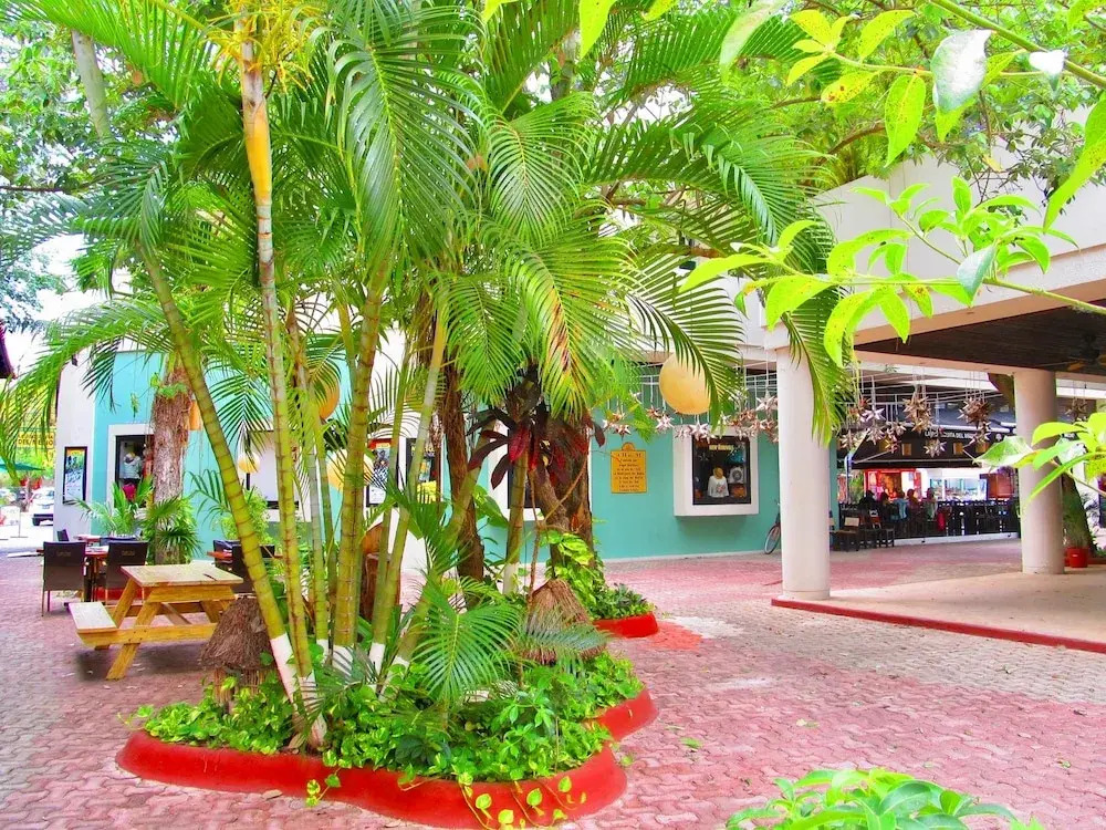 Bosque De Los Aluxes Classy By Playa Paradise