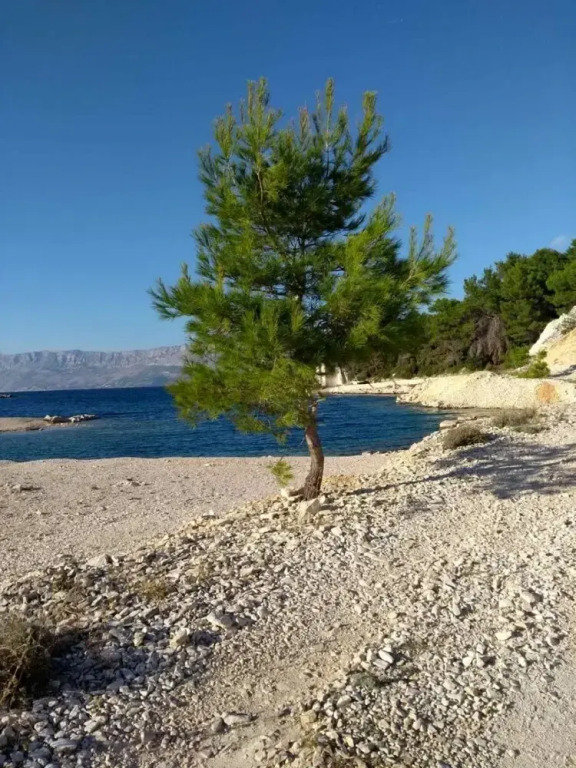 Coloured - Apartments on Island - A2 -zeleni :