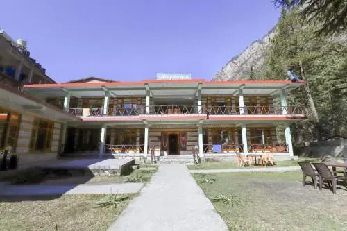 Woodward Magique kasol