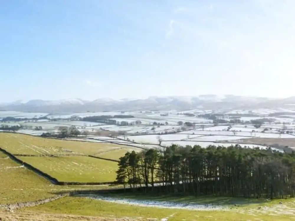Roans Farm