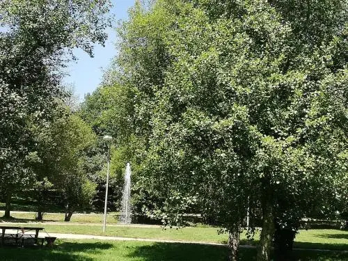 Albergue Camiño Real