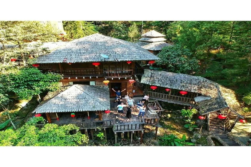 Fig Tree Hills Resort