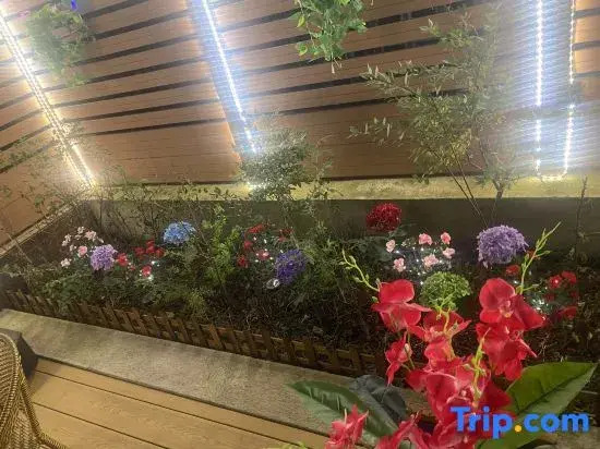 Jinlan YunShe Boutique Inn (Yunding Market Changbai Mountain North Slope Distribution Center)