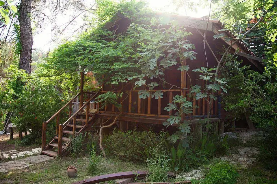 eskibeyaz/olympos
