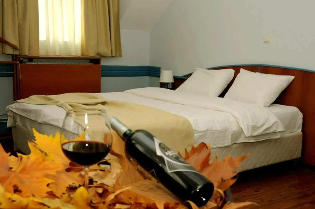 Hotel Tomce Sofka