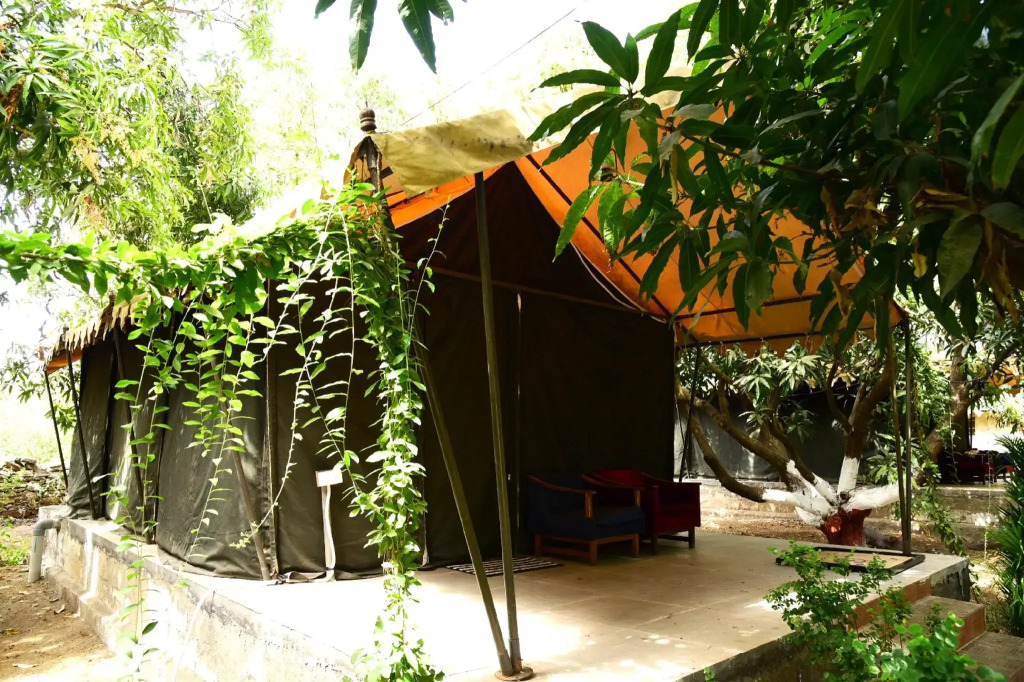 Gir County Resort