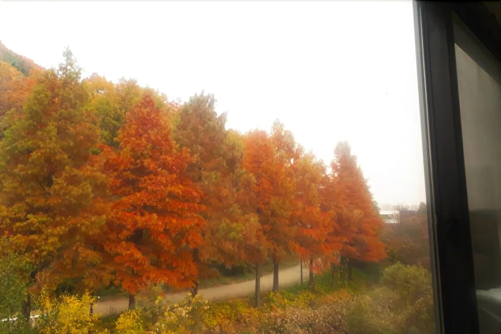 Paju Yemak Art Hall Pension