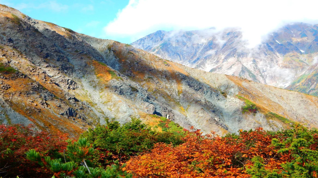 Schole Hakuba