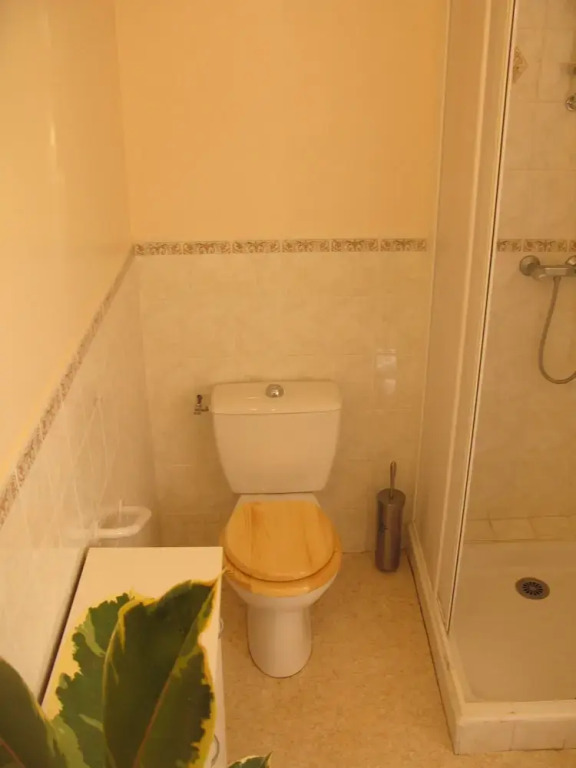 Appartement Lézard