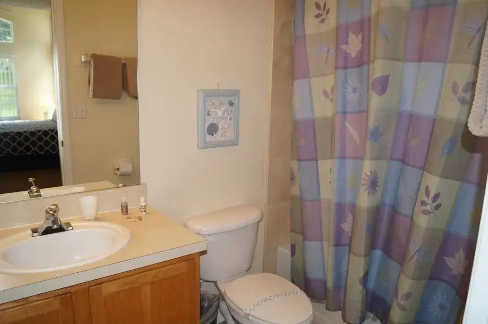 Pool, Sauna, Great Amenities, Frozen Themed Room