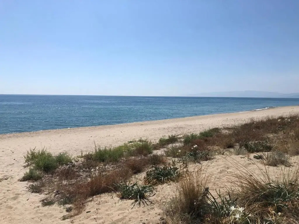 GIGLIO DI MARE Residence