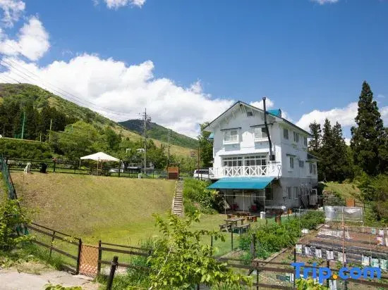 Pension Silver Fern