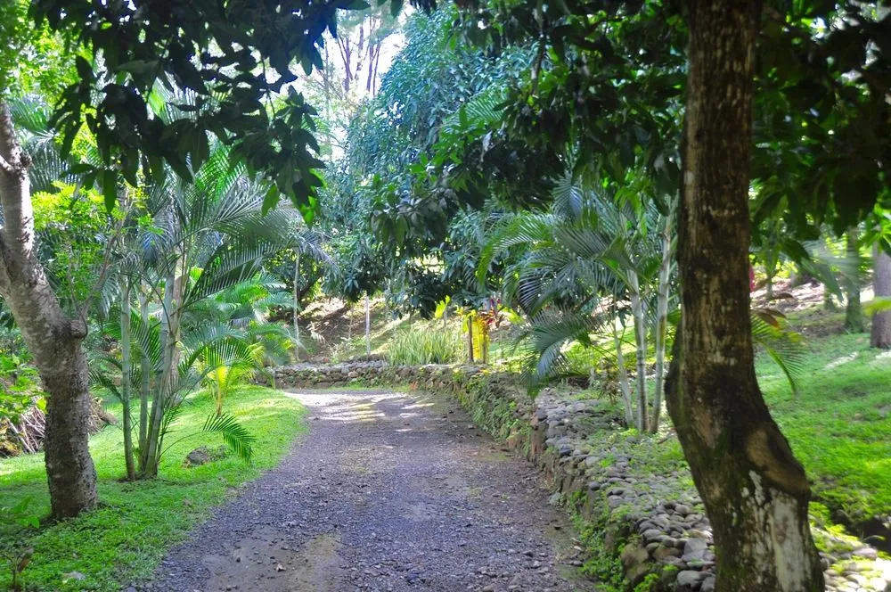 Tiriguro Lodge