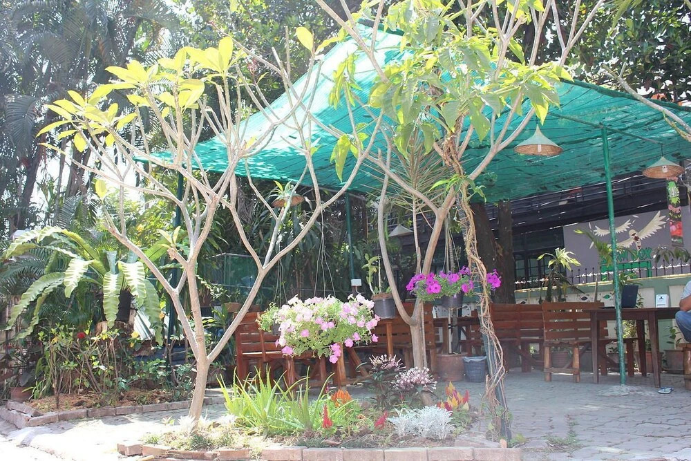 Jungala House