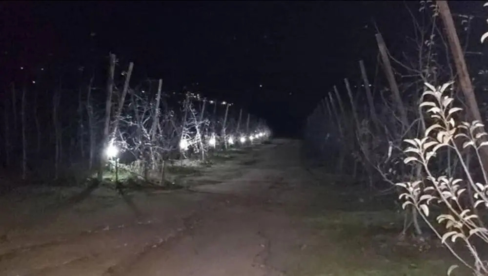 Quinta da Cabrida Douro