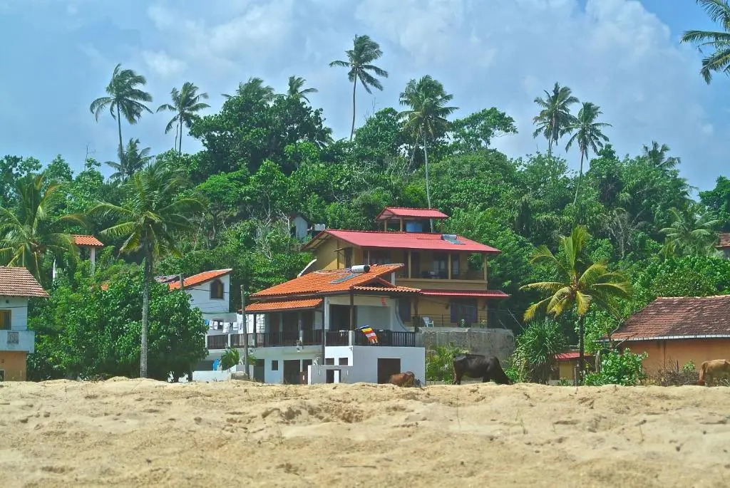 Lions Rest