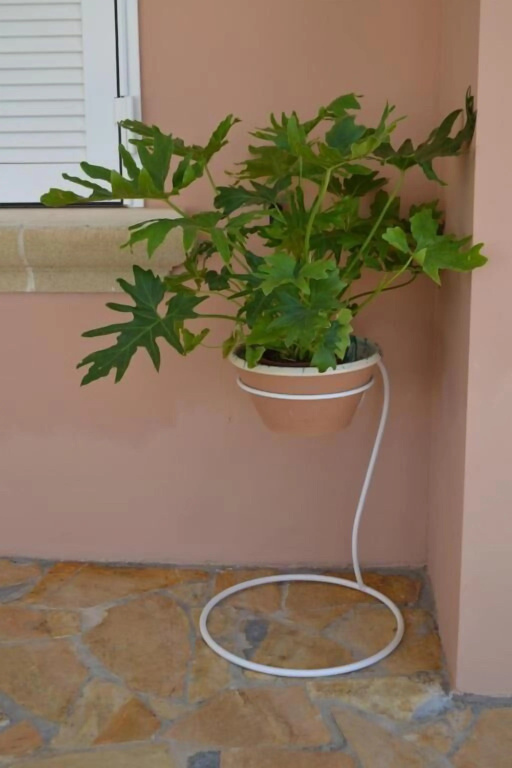 Tenuta Le Vermene
